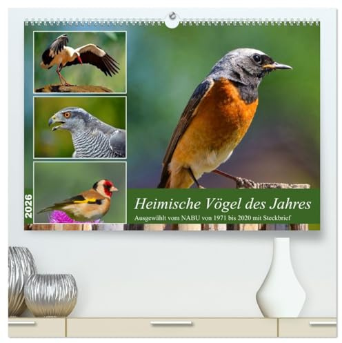 Heimische Vögel des Jahres (hochwertiger Premium Wandkalender 2026 DIN A2 quer), Kunstdruck in Hochglanz: Steckbriefe ab 1971 vom NABU gewählter Vögel (CALVENDO Tiere)