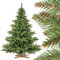 FAIRYTREES Weihnachtsbaum künstlich NORDMANNTANNE, grüner Stamm, Material PVC, inkl. Holzständer, 180cm
