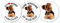 AdriLeo - Runde Aufkleber 3er-Set - Yorkshire Terrier - Deko Autoaufkleber Sticker Hund