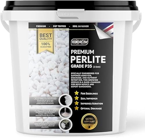 Premium Houseplant Perlite P35 horticultural grade (2L)