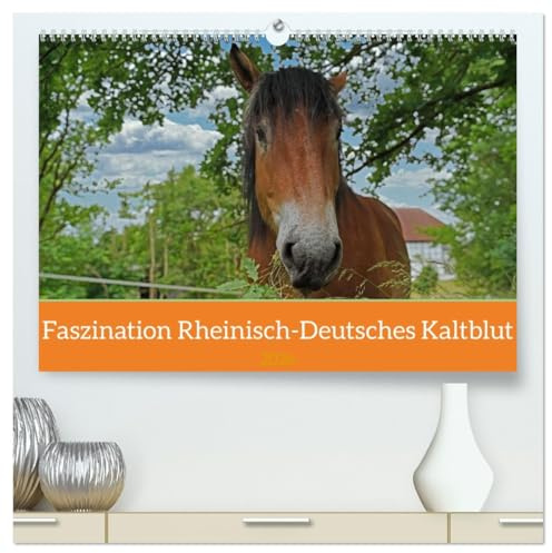 Faszination Rheinisch-Deutsches Kaltblut (hochwertiger Premium Wandkalender 2026 DIN A2 quer), Kunstdruck in Hochglanz: Ausgewählte Motive vom Kaltblut Enzo (CALVENDO Tiere)