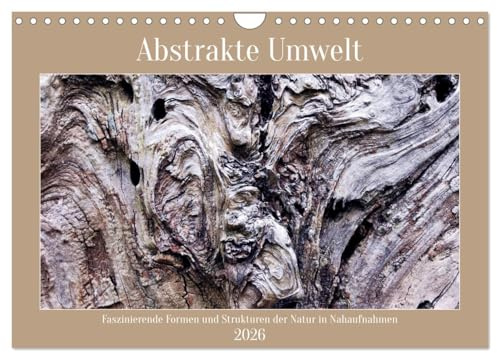 Abstrakte Umwelt (Wandkalender 2026 DIN A4 quer), CALVENDO Monatskalender: Faszinierende Formen und Strukturen der Natur in Nahaufnahmen (CALVENDO Natur)