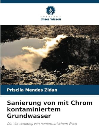 Sanierung von mit Chrom kontaminiertem Grundwasser: Die Verwendung von nanometrischem Eisen