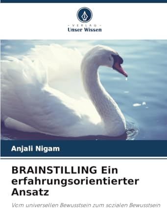 BRAINSTILLING Ein erfahrungsorientierter Ansatz: Vom universellen Bewusstsein zum sozialen Bewusstsein