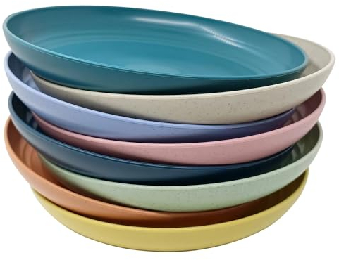WANBY Leichte Kunststoffplatten Groß Unzerbrechlich Abendessen Wiederverwendbar Teller Platten Set Nichttoxin Geschirrspüler & Mikrowelle Safe und Gesund (25cm 8 Stück)