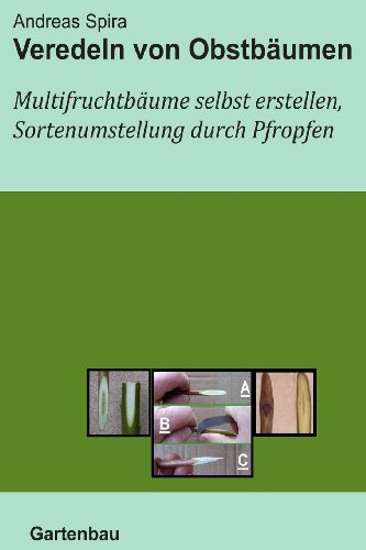 Veredeln von Obstbäumen: Multifruchtbäume selbst erstellen und Sortenumstellung durch Pfropfen