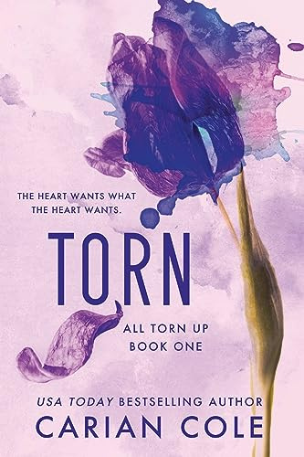Torn: 1 (All Torn Up)