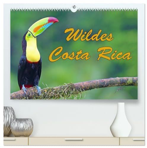 Wildes Costa Rica (hochwertiger Premium Wandkalender 2026 DIN A2 quer), Kunstdruck in Hochglanz: Costa Rica bezaubert mit einer bunten tropischen Tierwelt (CALVENDO Tiere)