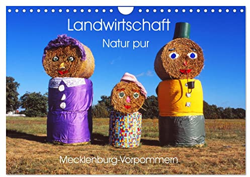 Landwirtschaft Natur pur Mecklenburg-Vorpommern (Wandkalender 2026 DIN A4 quer), CALVENDO Monatskalender: Landschaft aus einem anderem Blickwinkel betrachten. (CALVENDO Natur)