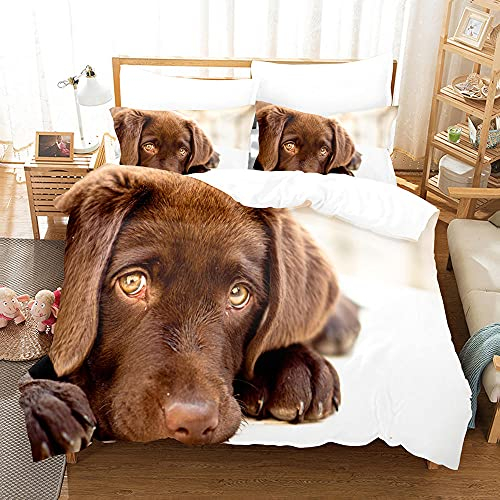 BAIXUEGONGZHU bettwäsche 135x200 cm Brauner Labrador Hund Bettbezug 2 und kissenbezüge 80x80 cm mit Reißverschluss Leichte Mikrofaser Heimtextilien
