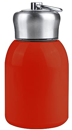 SicoVision Petite bouteille d'eau en acier inoxydable de 300 ml, petite bouteille d'eau isotherme sous vide, anti-fuite, gobelet isotherme sous vide, bouteille d'eau chaude et froide, cadeau pour