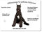 Merchandise for Fans Blechschild/Warnschild/Türschild - Aluminium - 20x30cm - - Willkommen in Meinem Zuhause - Motiv: Schnauzer/Riesenschnauzer - 02