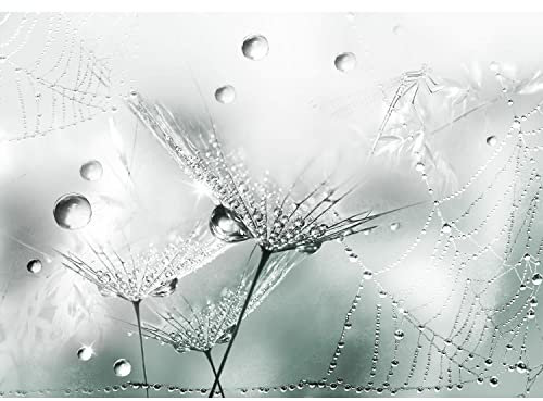 Runa Art Fototapeten 396 x 280 cm Blumen Pusteblume - Vlies Wanddekoration Wohnzimmer Schlafzimmer - Deutsche Manufaktur - Türkis 9557012c
