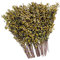 Woohome Miniatures Shrub Branches, Herbe Statique, Grass Tuft Miniatures, Touffes d'herbe Statique pour Le Bricolage Architecture Bâtiment Jardin Paysage, Jaune Flétri