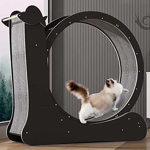 DIIDIIFF Katzen-Laufrad zum Abnehmen mit Kratzbrett, geräuscharmes, leises, Sich drehendes Katzensportspielzeug für den Innenbereich mit Sicherungsstift, Schwarz