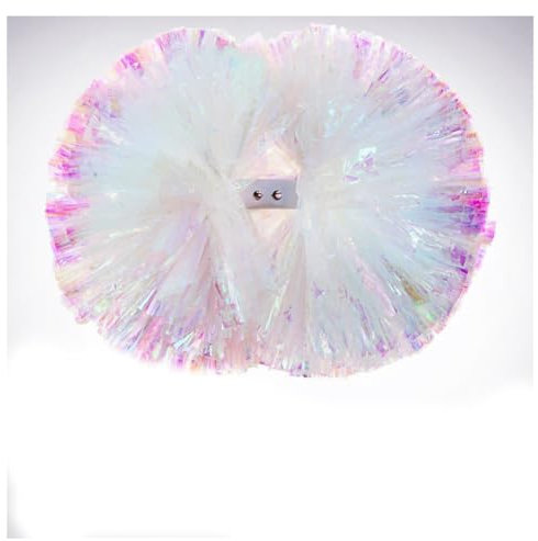 Hrlace 2 Stück Cheerleading Pompons Professional Cheerleader Pom Poms Kunststoff Handblumen Bunte Cheerleading Puschel mit Griff für Sportwettbewerb Cheer Dance Party Weiß 2# 5Zoll 24×31cm