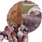 V-PREMIUM SOLUTION Red Decorative Pebble - Natural Decorative Stone - Kieselsteine - Dekorativ Stein - Gartendeko - Dekostein -