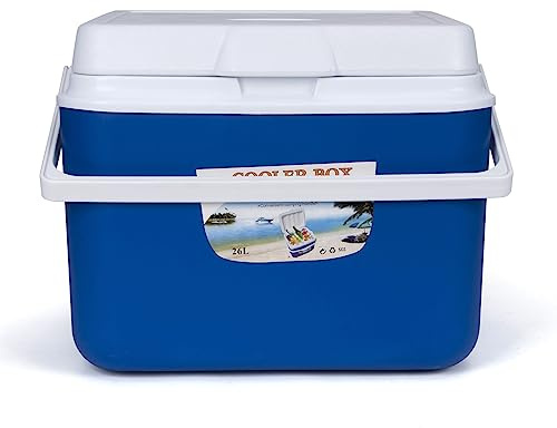Snnozy Outdoor Insulated Cooler Box Lunch Box for Camping Picnic Beach Car