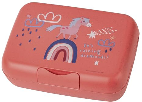 Koziol Lunchbox mit Trennschale Dreams