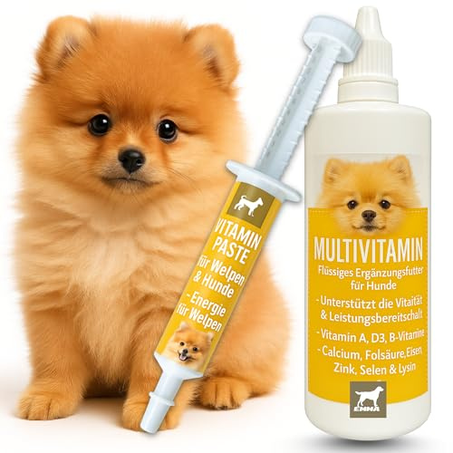 EMMA® Multi Vitamine B Complex for dogs, Vitamin B1, B2, B6, B12, Calcium, Folic Acid, Iron, Zinc Liquid 100 ml plus Vitamin Booster 15 ml