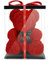 NADIR 70cm Blumenbär mit Schleife/inklusive vorverpackter Geschenkbox/Valentinstag Muttertag Geburtstag Jahrestag Infinity Rosebear Bär aus Rosen Flower Teddy Teddybär Blütenbär (Rot, 70 cm)