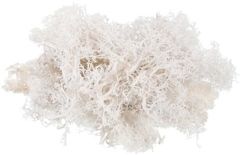 PATIKIL 3.5 OZ Finto Muschio Conservato Renna Muschio Artificiale Muschio Lichene Centrotavola Decoro Finto Muschio per Vaso Piante Natale Artigianato Bianco
