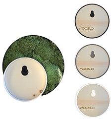 Runder Rahmen für Moosbilder - DIY Moosbild - Unterschiedliche Farben - Rahmen zum Befüllen