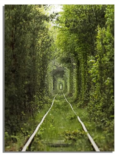 Wallario Magnetfolie für Kühlschrank/Geschirrspüler, magnetisch haftend - 60 x 80 cm, Motiv: Verwunschener Tunnel aus Bäumen