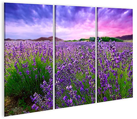 islandburner Bild auf Leinwand Sonnenuntergang Über Einem Lavendelfeld Tihany Ungarn Bilder Wandbilder Poster