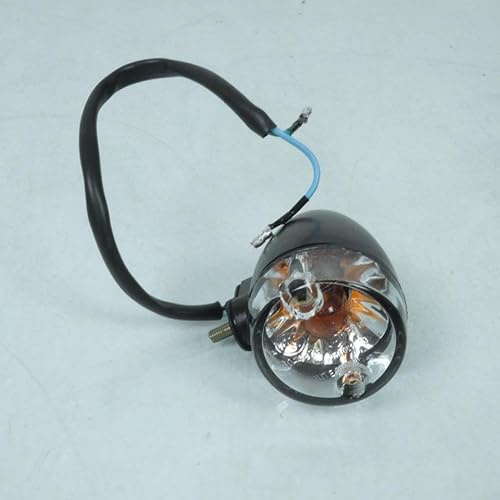 Blinker, anpassbar, sym 50 Orbit II, hinten rechts (Oem 33600-ABA-000)