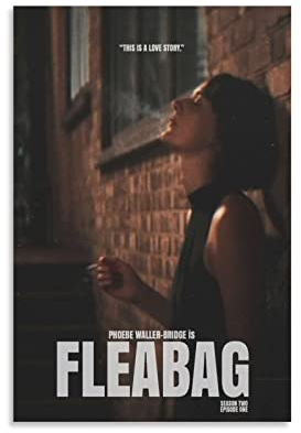 BBZL Fleabag TV-Serien-Poster, Leinwandkunst, dekorativer Gemälde, Bild, Druck, moderne Familie, Jungen, Mädchen, Schlafzimmer, Wohnzimmer, Dekoration, Poster, 30 x 45 cm