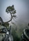 Displate - Poster aus Metall - Magnet-Montage - World Class Photos - Landscapes - Against the Odds 67.5 cm x 48 cm