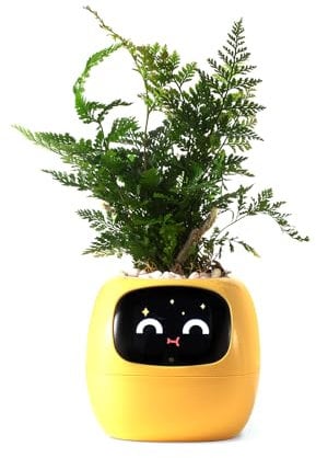 PLANTSIO - Robot macetero inteligente con emojis que orientan sobre cómo cuidar las plantas. Adorable compañero de plantas con interacción de gestos; regalo ideal para un escritorio ordenado