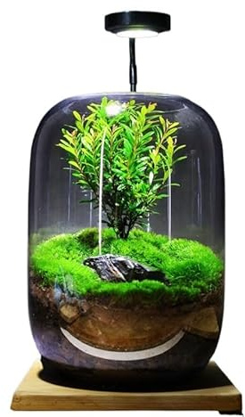 Aquarium mit Wasserfall-Funktion, Glasbecken für den Schreibtisch mit lebenden Pflanzen und Zen-Landschaftsdekoration (B)