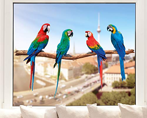 Pixblick Fenstersticker - Bunte Papageien auf einer Stange I Made in Germany I Wiederverwendbar