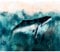 decomonkey - Papier Peint Panoramique Poisson Ozean 350x256 cm - Décoration murale – Tapisserie pour chambre salon - Bébé d'âge préscolaire couleurs de la nature tendances poisson océan mer