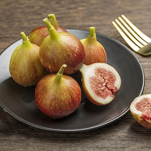 30 Stücke feigenbaum im topf, Feigen samen, feigenbaum samen, （Ficus carica) frisches obst, garten geschenk bäume garten winterhart sapote frucht, winterharte kübelpflanzen feigenbaum