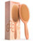 FRAMAR Mojave Haarbürste Ohne Ziepen - Haarbürsten Für Langes Haar, Haarbürste Damen, Wet Hair Brush, Entwirrbürste Lange Haare, Detangler Bürste, Locken Bürste Haare, Haarbürste Mädchen, Hairbrush