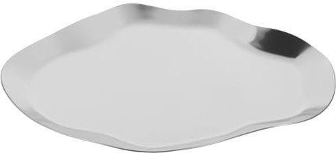 HOOTNEE Stainless Steel Schmuckablage Dekorative Organizer-schale Für Kosmetik Und Schmuck Für Tisch Nachttisch Und Schmuckgeschäft Hochwertiger Langlebig Und