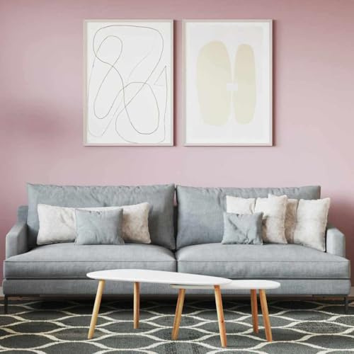 Générique Peinture Murale Vieux Rose 16.5 x 16.5 x 15.9 cm,Quincaillerie, Consommables de Construction, Consommables de Peinture, Peinture, Rose (Poids 4.05KG)