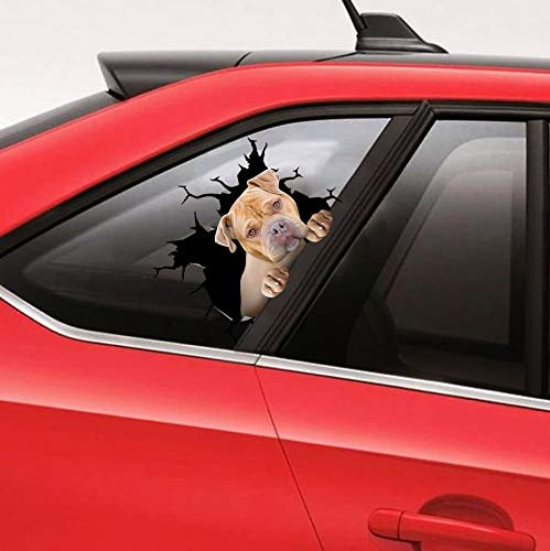 Irish Setter Autoaufkleber, Wandaufkleber, 2 Stück, realistische Autoaufkleber, Design-Serie, 25,4 x 25,4 cm