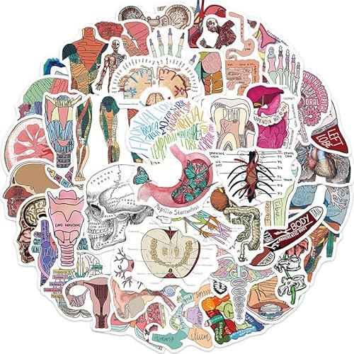 50pcs Cartoon Aufkleber der menschlichen Körper Organe Kinder Gitarre Handy Wasserdicht DIY Graffiti-Sticker