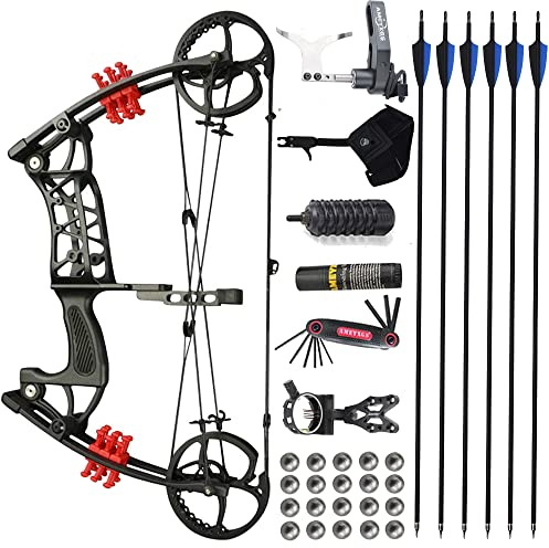SHARROW 30-55Lbs Compoundbogen Set Erwachsene Bogenschießen Katapult Stahlball Dual-Use Compoundbogen Jagdbogen Angeln Bogen und Pfeil Set für Erwachsene Jagd Angeln Linkshändig Rechtshändig (Typ D)