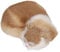 Keenso Flauschige Dekorative Plüsch Schlafende Katze Figur für Home Office Flauschige Katze Figur, Realistische Simulation