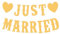 JUST Married Girlande, Braun Hochzeitsgirlande, Just Married Hochzeit Banner, Wimpelkette Hochzeit Banner für Auto, Hochzeitszeremonie, Brautdusche