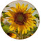 Drinks Coasters Set of 6, Yellow Floral Sunflowers Bloom Non-slip Leather Round Mug Cup Pad Mat for Home Kitchen Decorations