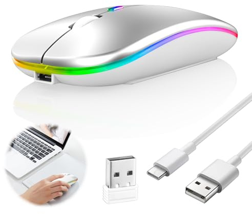 Wireless Bluetooth Mouse Rechargeable USB-A USB-C Dual Receiver Silver | Bluetooth 2.4GHz, USB-A & USB-C Dual Receivers, 1600 DPI Precision, Quiet Click, Rechargeable Design, for Windows, Mac & iPad