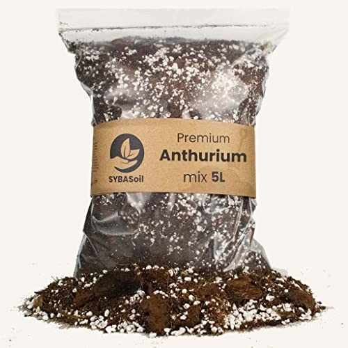 Sybotanica Anthurien-Erde 10 L – Premium Coco Blumenerde für Anthurien, Bromelia & mehr, Torffrei & 180 Tage Bio-Dünger – Für Zimmerpflanzen-Liebhaber
