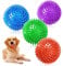 AYNKH 4 Stück Quietschende Hundeball Spielzeug, Unzerstörbare Kauen Spiky Bälle für Welpen Kleine Mittlere Hunde Saubere Zähne Und Training Schwimmfähig Pool Spielzeug Werfen Apportieren Gummibälle