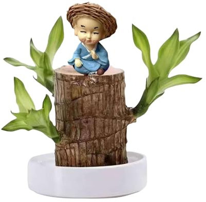 Brasilianisches Glücksholz Pflanze Set Glücksbambus Pflanzen Indoor Magisches Sprossen Glücksholz Brazilian Wood Pflanzenstumpf Mit Mönch-Statue (B-1)